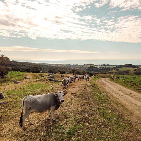 Agriturismo Morani サンタ・セヴェラ エクステリア 写真